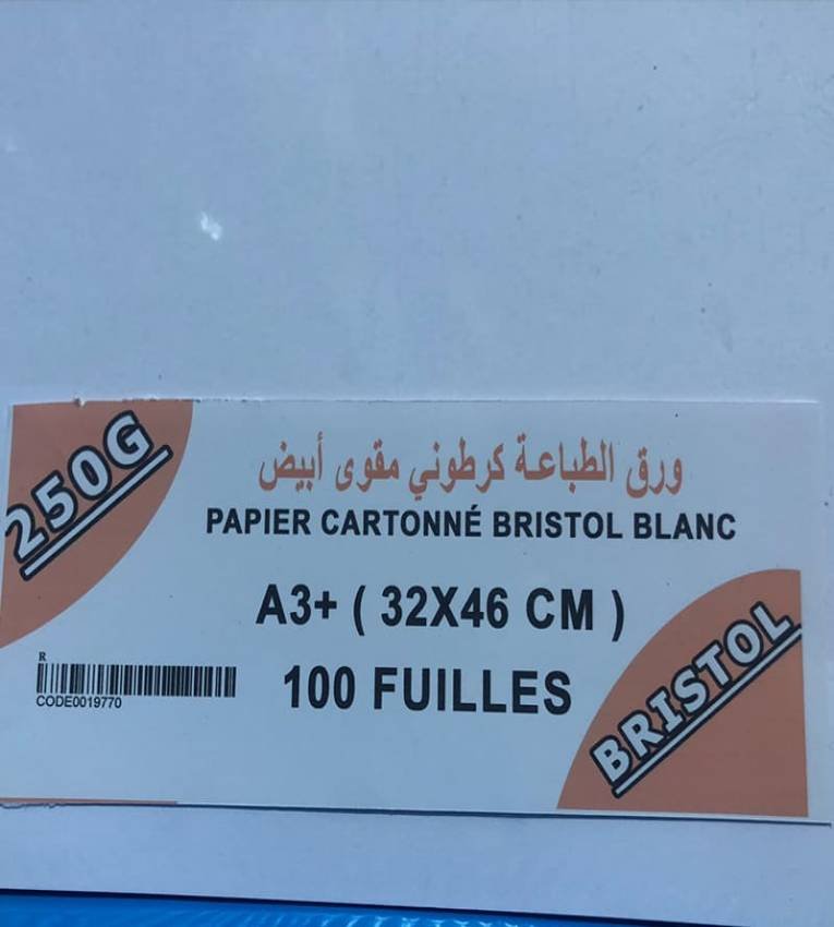 Papier Cartonné Bristol Blanc A3+ – 250G – 100 Feuilles